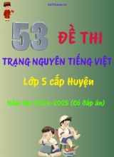 Bộ đề thi Trạng Nguyên Tiếng Việt Lớp 5 cấp Huyện năm học 2024-2025 (53 Đề + Đáp án)